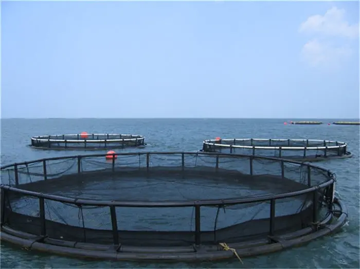 HDPE PIPE For fish cage